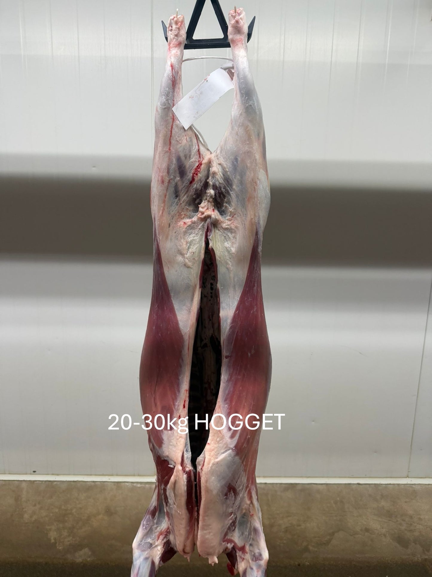 Australian Hogget Carcases by Air
