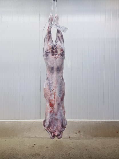 Australian Lamb Carcases by Air