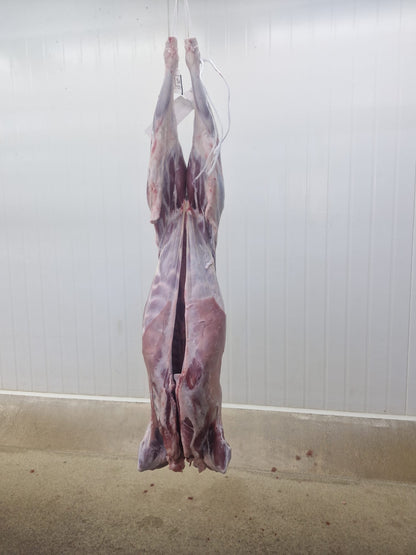 Australian Lamb Carcases by Air