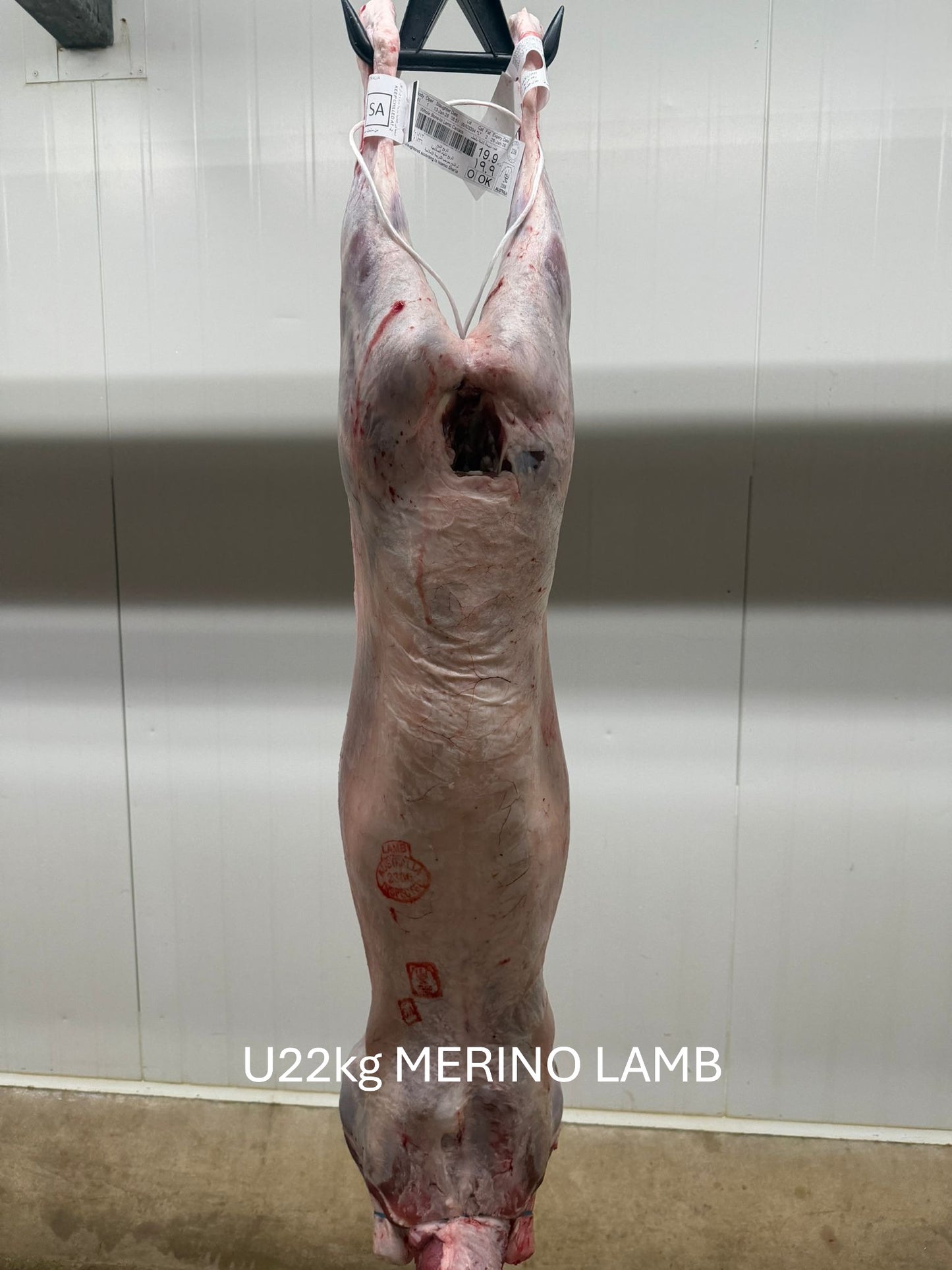 Australian Lamb Carcases by Air