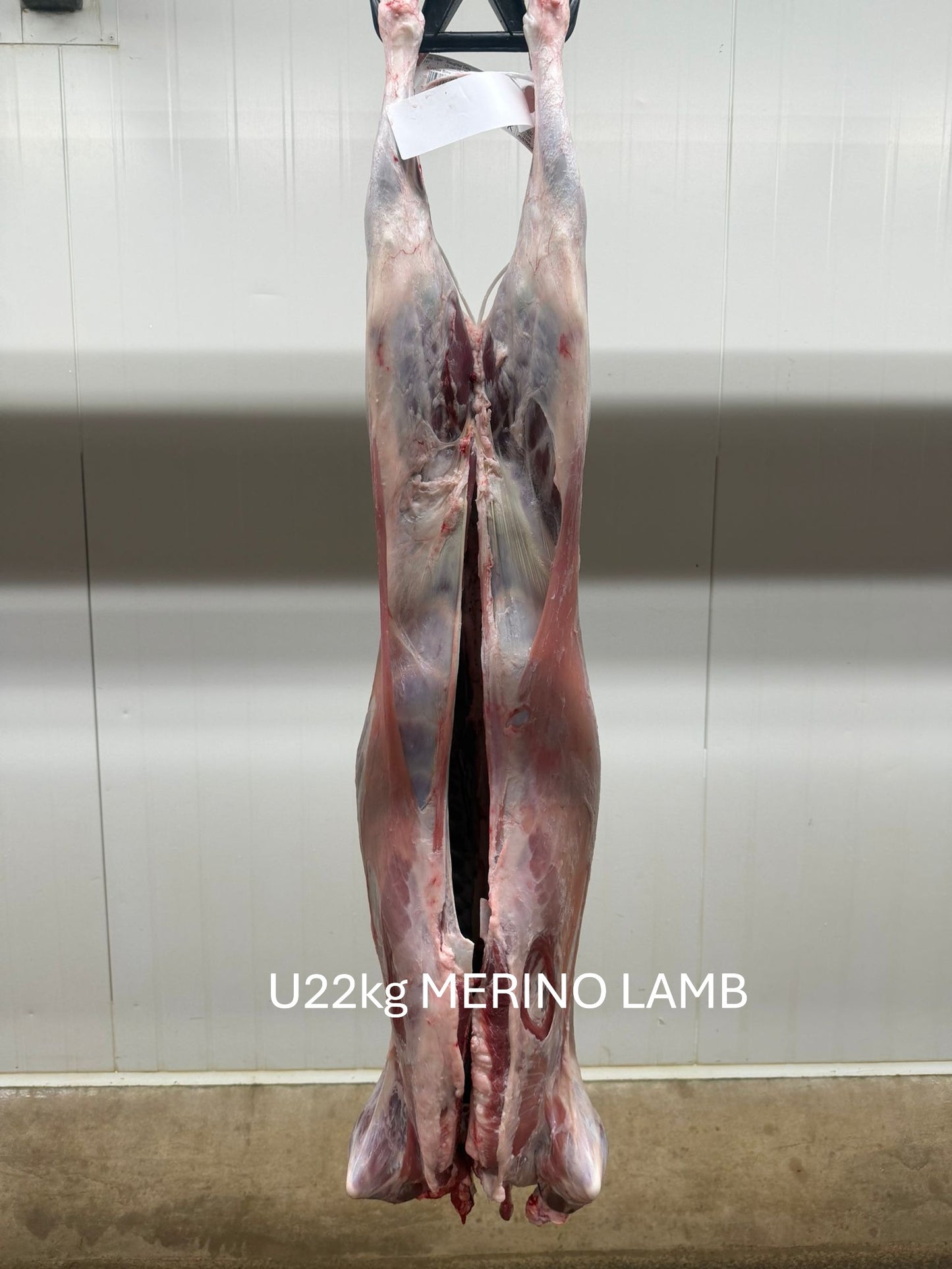 Australian Lamb Carcases by Air