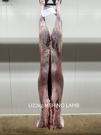 Australian Lamb Carcases by Air