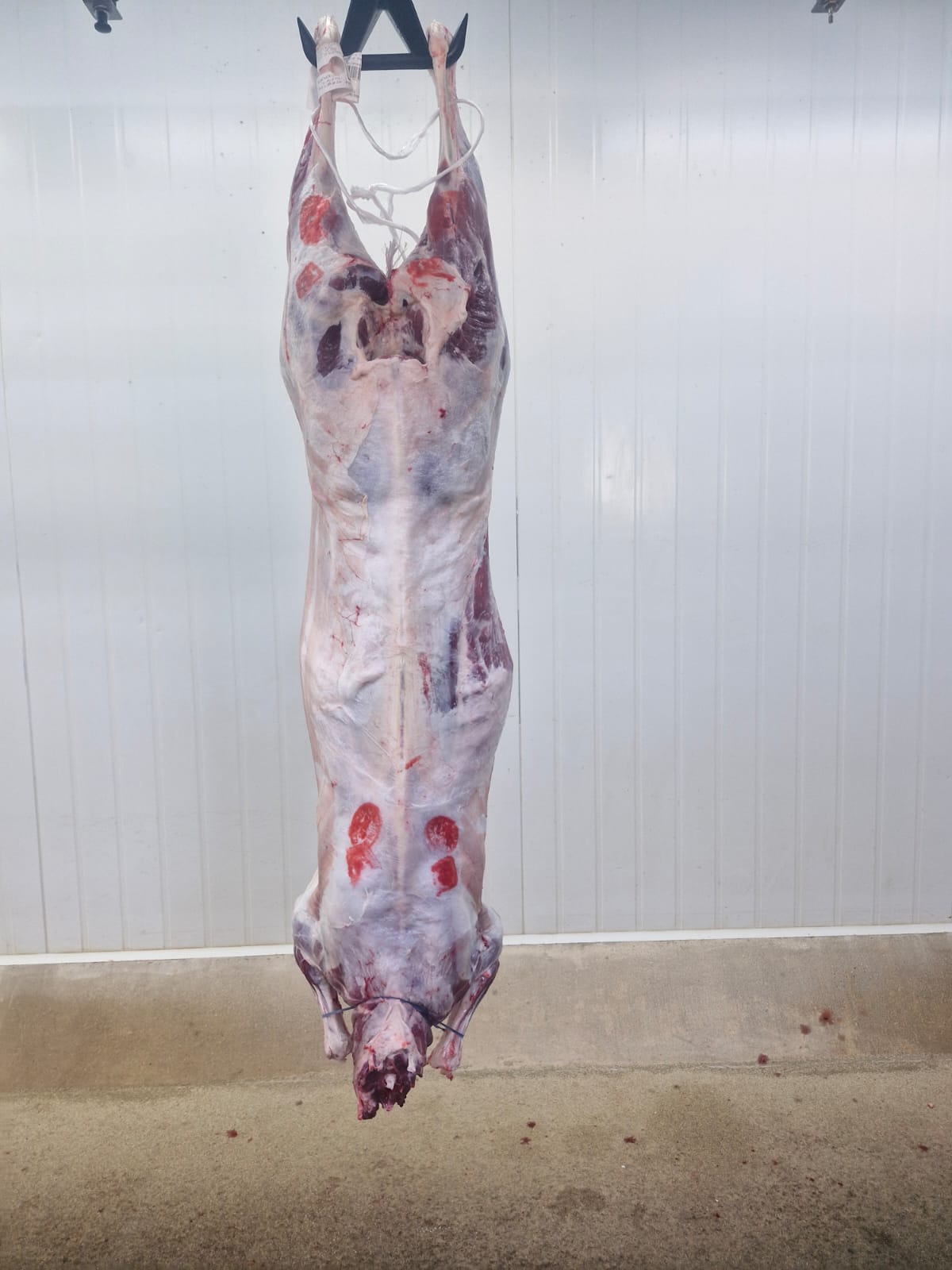 Australian Mutton Carcases by Air