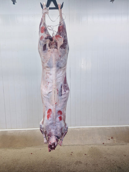 Australian Mutton Carcases by Air