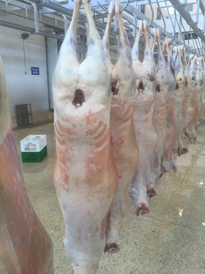 Australian Lamb Carcases by Air