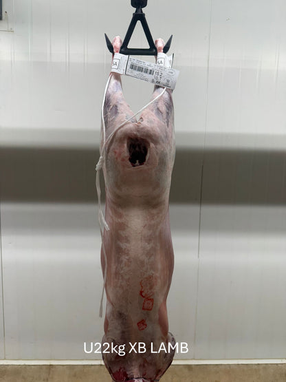 Australian Lamb Carcases by Air