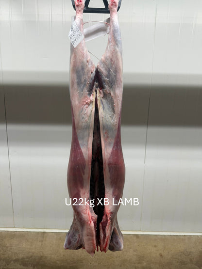 Australian Lamb Carcases by Air