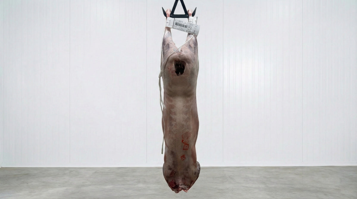 Lamb Carcasses