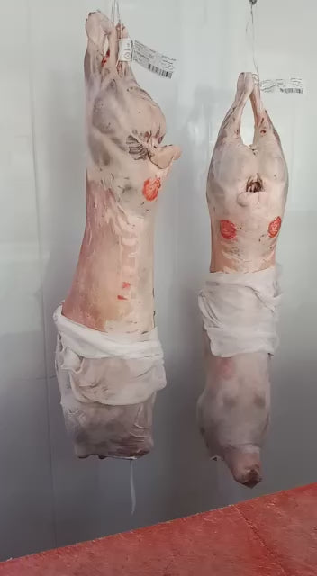 Australian Lamb Carcases by Air